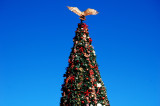 Christmas Tree at Viejas 1