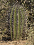 P2260760sm.jpg