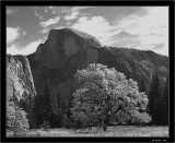 Yosemite