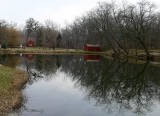 Pond image
