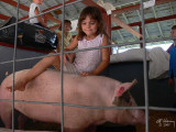 When things get dull at the fair ......RIDE A PIG !