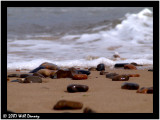 Day at the Beach