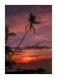 sunset Tavenui