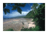 Taveuni 1
