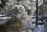 Above Cecil Hollow Falls after Ice Storm