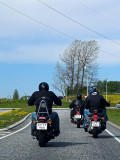 Bikers on the road