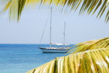 antigua2007LN005.JPG