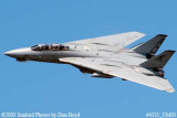 USN F-14 Tomcat from VF-101 Grim Reapers military aviation air show stock photo #4121