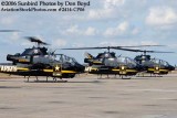 Army Aviation Heritage Foundations Sky Soldiers Bell AH-1 Cobras air show stock photo #2414
