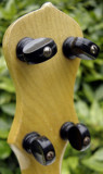 jedson-uke-banjo-6.jpg