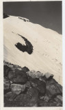 Upper Portion Of Avalanche (Baker1939-5.jpg)