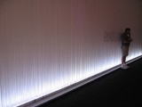IMG_2955.jpg