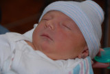 Camen at 36 hours old