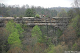 View of Natural Bridge