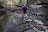 Crossing a stream