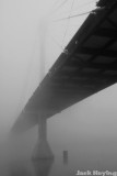 Fog on the Bridge