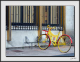 Technicolour Bicycle_DS26268.jpg