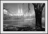 A Walk in Central Park_DS27335-bw.jpg