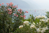 3158 - Lake Garda.jpg