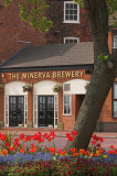 Minerva brewery