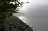 Humber walkway North Ferriby.jpg