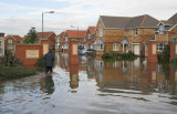 Kingswood003.jpg