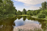 Orchard Park Estate001.jpg