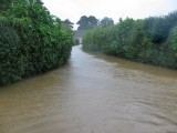 Lockington flood 001.JPG