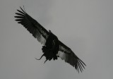 IMG_8379.JPG