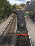 IMG_3364-01.jpg