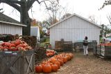 IMG_6652_1.JPG