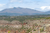 New Mexico Scenery