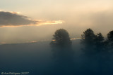 Foggy Morning in Hayden Valley