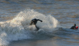 Wijk 20070203 0653 a.jpg