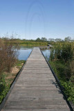 _MG_3036 800.jpg