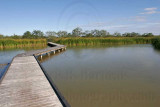 _MG_3080 800.jpg