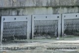 Deadly Overflow Trap at Hermann Park.jpg