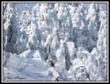 Versant nord de la montagne noire