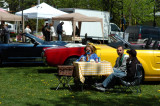 Pic-Nic Mustang