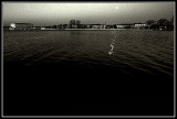 Fox River View