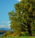 View From the Vanderbilt Mansion, Hyde Park, NY