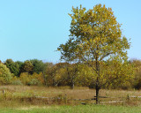 Old Bethpage Village Restoration, Long Island, NY