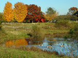 Old Bethpage Village Restoration, Long Island, NY