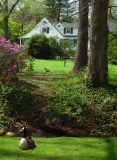 Bailey Arboretum