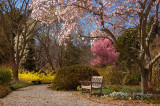 Planting Fields Arboretum