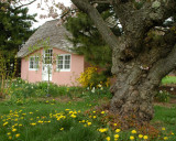 Planting Fields Arboretum