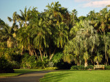 Royal Botanic Gardens