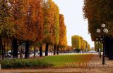 Paris (4777)
