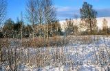 Egelsee (0115)
