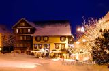 Gasthaus zum Loewen (8338)